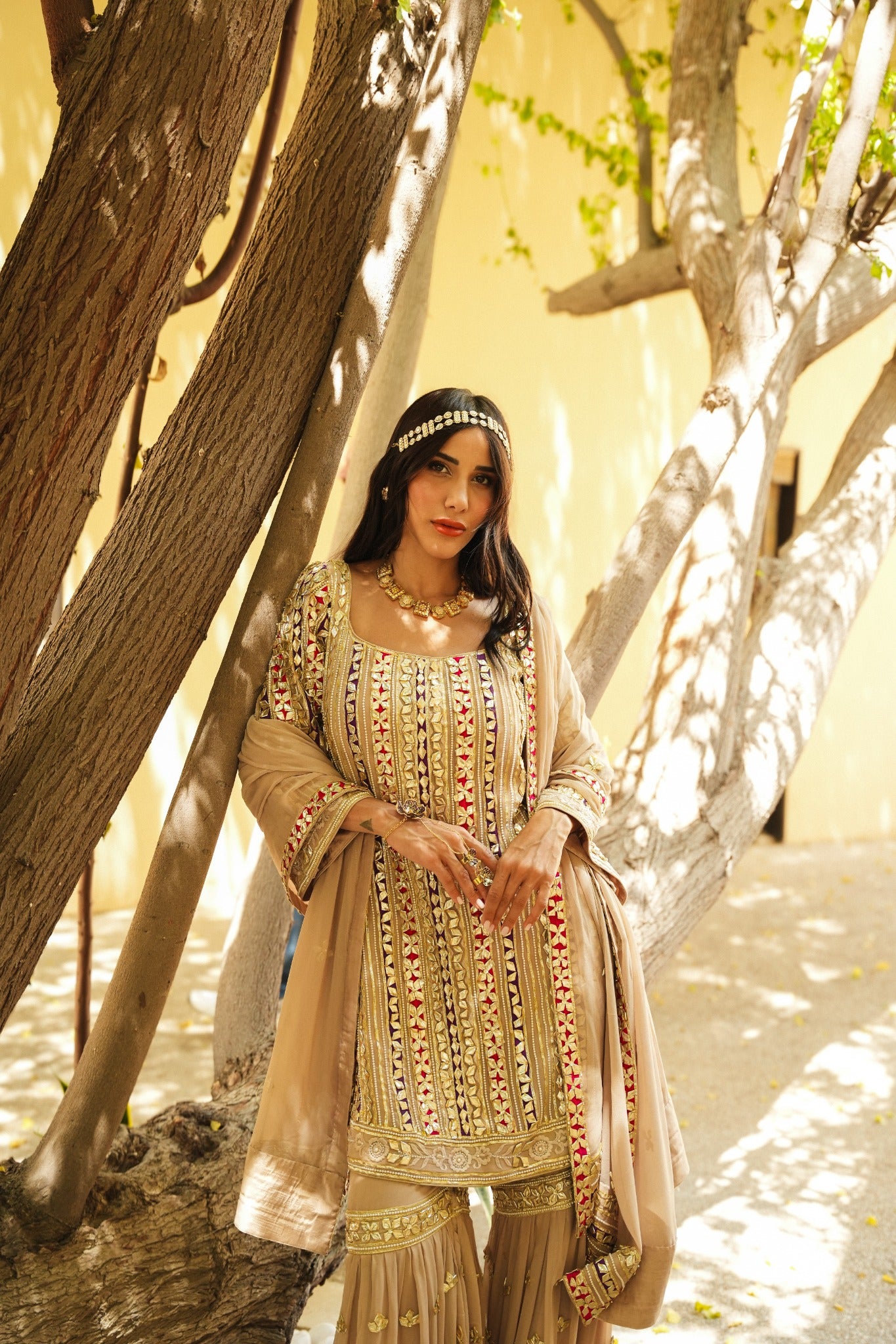 BEIGE PARISAA GARARA (PINK & PURPLE DETAILS)